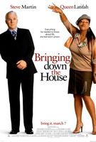 Bringing Down The House movie poster (2003) Poster MOV_4aadf24f