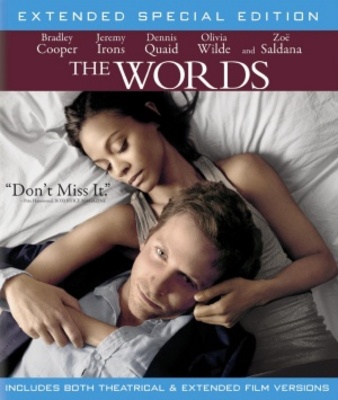 The Words movie poster (2012) mug