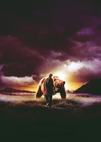 Grizzly Man movie poster (2005) Poster MOV_51670b98