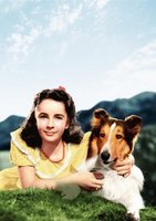 Courage of Lassie movie poster (1946) Poster MOV_52a7a212