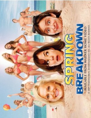 Spring Breakdown movie poster (2009) tote bag