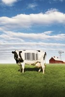 Food, Inc. movie poster (2008) Poster MOV_551981fa