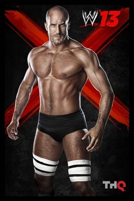WWE '13 movie poster (2012) Poster MOV_582ce2d3