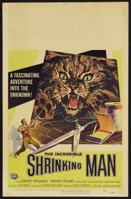 The Incredible Shrinking Man movie poster (1957) hoodie