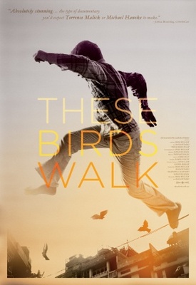 These Birds Walk movie poster (2013) Poster MOV_59c2ef5f