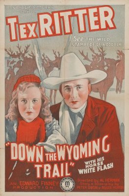 Down the Wyoming Trail movie poster (1939) hoodie