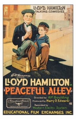 Peaceful Alley movie poster (1929) Poster MOV_5b485c30