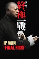 Ip Man: The Final Fight movie poster (2013) t-shirt #MOV_5e826e99