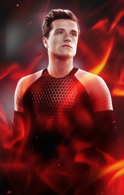 The Hunger Games: Catching Fire movie poster (2013) Poster MOV_5f57c096