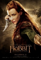 The Hobbit: The Desolation of Smaug movie poster (2013) tote bag #MOV_5f90bb4e