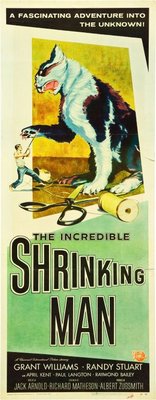 The Incredible Shrinking Man movie poster (1957) Poster MOV_61fe9df8