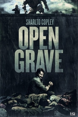 Open Grave movie poster (2013) Poster MOV_6592655c