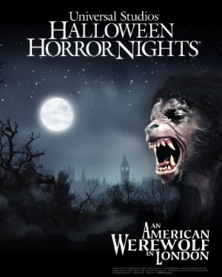 An American Werewolf in London movie poster (1981) poster