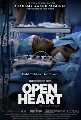Open Heart movie poster (2013) Poster MOV_6969caea