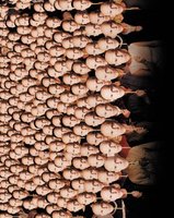 Being John Malkovich movie poster (1999) Sweatshirt #659519