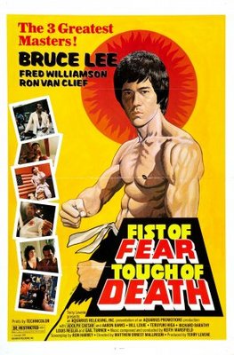 Fist of Fear, Touch of Death movie poster (1980) Poster MOV_6a6617fc