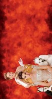 The Princess Diaries 2: Royal Engagement movie poster (2004) tote bag #MOV_6ab201d7