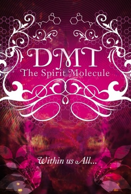 DMT: The Spirit Molecule movie poster (2010) hoodie