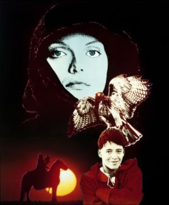 Ladyhawke movie poster (1985) hoodie