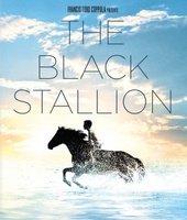 The Black Stallion movie poster (1979) Poster MOV_6e4983cb