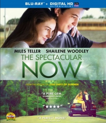 The Spectacular Now movie poster (2013) Poster MOV_6e8729f1