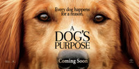 A Dogs Purpose movie poster (2017) Sweatshirt #1468258