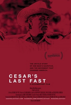 Cesar's Last Fast movie poster (2014) Poster MOV_72b1b984
