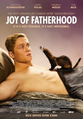 Vaterfreuden movie poster (2014) poster