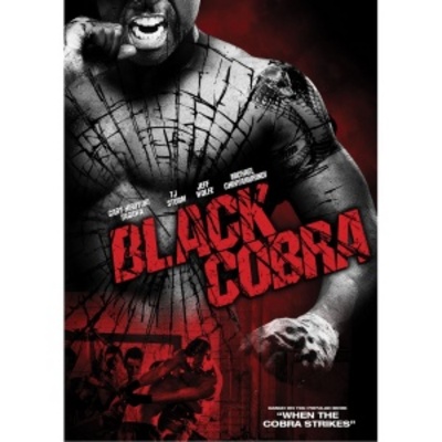 When the Cobra Strikes movie poster (2012) poster