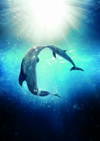 Dolphin Tale 2 movie poster (2014) Mouse Pad MOV_8375523a