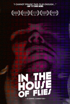 In the House of Flies movie poster (2012) hoodie