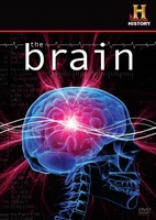 The Brain movie poster (2008) Poster MOV_85ac3a92