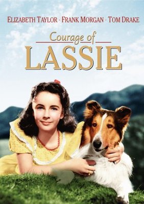 Courage of Lassie movie poster (1946) Poster MOV_87b061db