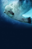Polar Bears: Spy on the Ice movie poster (2010) tote bag #MOV_88f30ed9