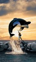 Free Willy movie poster (1993) Tank Top #629485