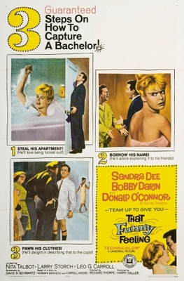That Funny Feeling movie poster (1965) poster