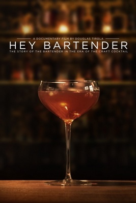 Hey Bartender movie poster (2013) Poster MOV_8cc87168