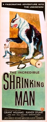 The Incredible Shrinking Man movie poster (1957) Poster MOV_8d22b0bc