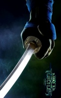 Teenage Mutant Ninja Turtles movie poster (2014) Poster MOV_8ef1da9f