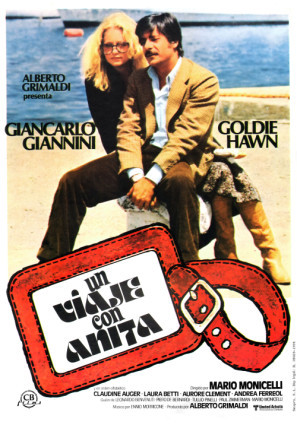 Viaggio con Anita movie poster (1980) Poster MOV_8yqnguk5