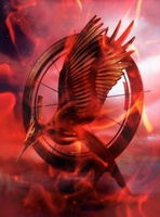 The Hunger Games: Catching Fire movie poster (2013) Poster MOV_90022fa1