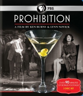 Prohibition movie poster (2011) poster