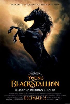 The Young Black Stallion movie poster (2003) Sweatshirt