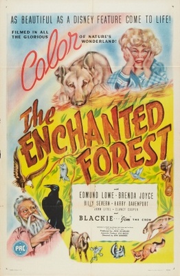 The Enchanted Forest movie poster (1945) mug
