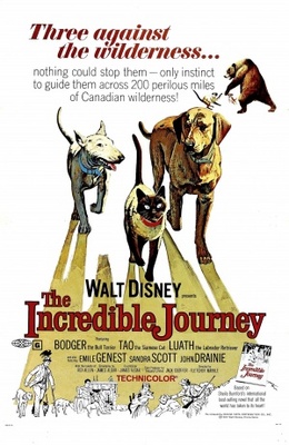 The Incredible Journey movie poster (1963) calendar
