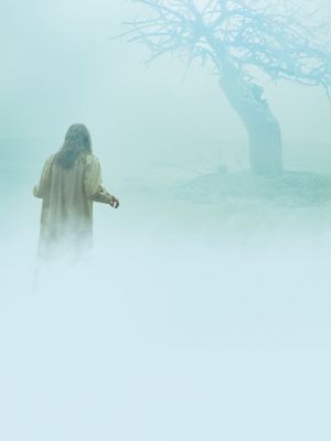 The Exorcism Of Emily Rose movie poster (2005) Sweatshirt
