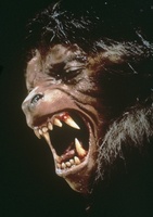 An American Werewolf in London movie poster (1981) Tank Top #761713