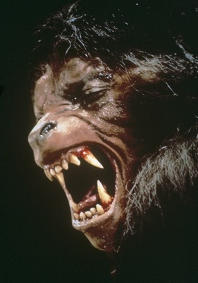 An American Werewolf in London movie poster (1981) mug #MOV_979506f2