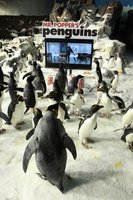 Mr. Popper's Penguins movie poster (2011) Sweatshirt #701942