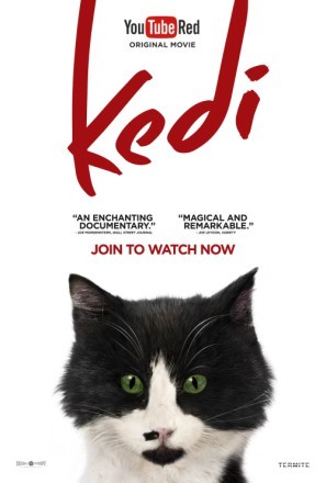 Kedi movie poster (2017) Sweatshirt